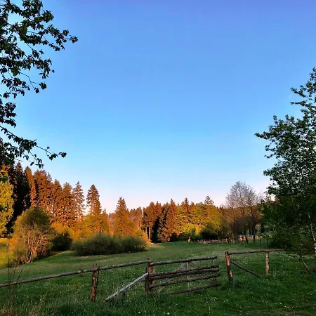 Zur Post Брилон