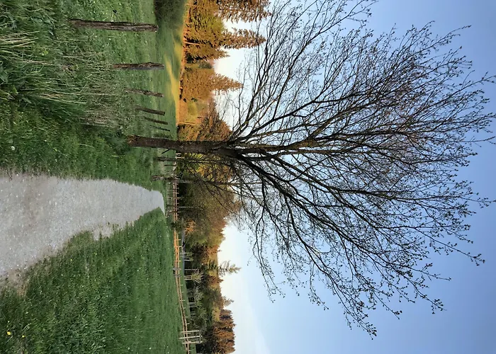 Hotel Zur Post Brilon