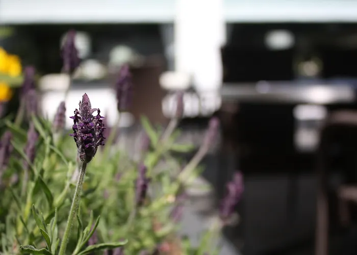 Szálloda Zur Post 3*