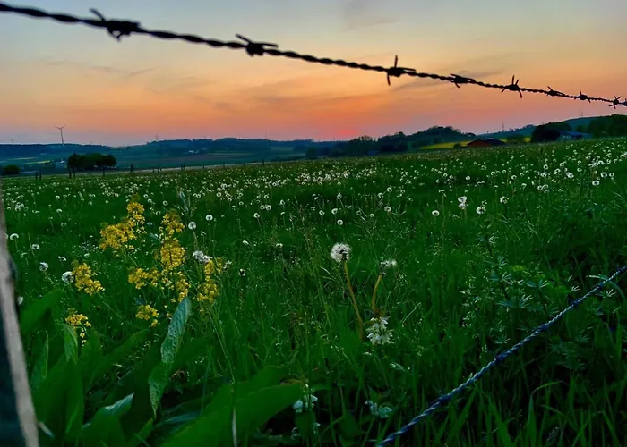 Hotel Zur Post Hotel